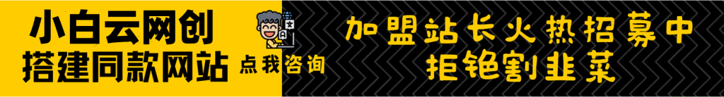 加盟小白云网创,搭建同款项目资源站,实现日入2000+-小白专研网